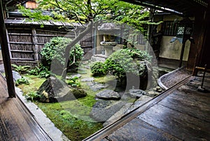 Traditional Japanese courtyard garden
