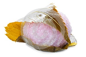 Traditional Japanese dessert sakura mochi made of pink rice with bean paste wrapped in salted cherry leaf isolated on white