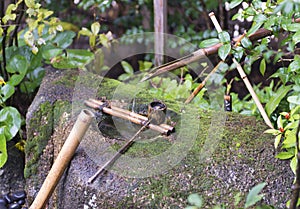 Traditional japanese fountain tsukubai