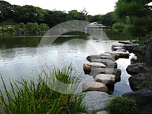 Traditional Japanese Garden with pond and stepping stones