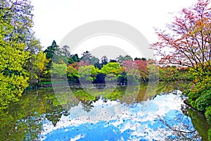 Traditional Japanese Garden at Ryoanji Temple in Kyoto, Japan