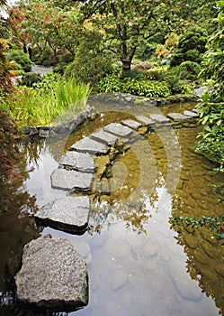 Traditional Japanese garden. A stream