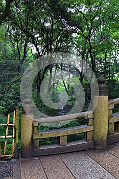 Traditional Japanese gardens in public parks in Tokyo, Japan. Views of stone lanterns, lakes, ponds, bonsai and wildlife walking a