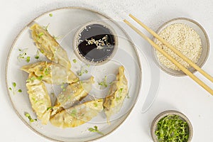 Traditional Japanese gyoza dumplings with meat on ceramic plate