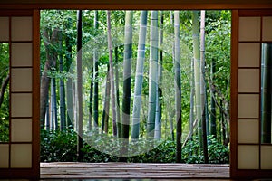 Traditional japanese house in bamboo forest