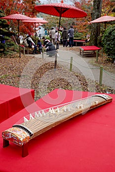Traditional Japanese instrument
