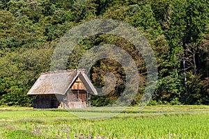 Traditional Japanese old wooden house in forest