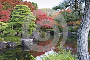 Traditional Japanese park in autumn