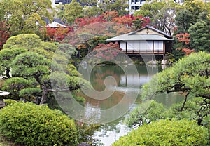 Traditional Japanese park in autumn