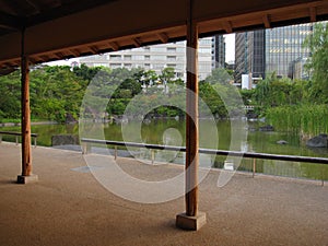 Traditional Japanese park in the middle if the city, Tokyo