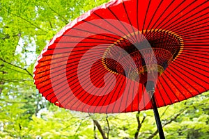 Traditional Japanese red umbrella