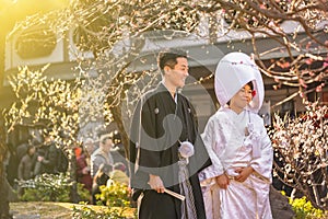 Traditional Japanese shinto wedding of a couple in black haori kimono and white shiromuku