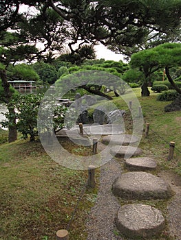 Traditional Japanese stroll garden with stepping stone pathway