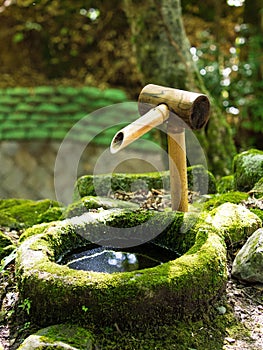 Traditional Japanese water fountain