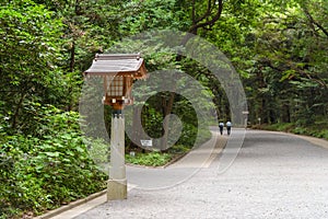 Traditional Japanese wooden lantern on pathway in Meiji-Jingu Shrine, Japan