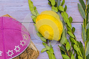 The traditional Jewish holiday decorations for Sukkot with the species of etrog, lulav, hadas, and arava