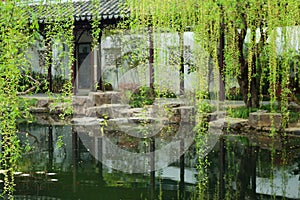 The traditional Jiangnan garden covers the spring in willow leaves