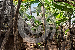 Traditional Konso Village, Ethiopia