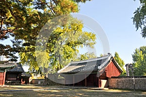 Traditional Korean Hanok Village buildings with old wooden door and big trees in the afternoon in Seoul, South Korea