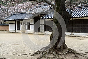 Traditional korean house