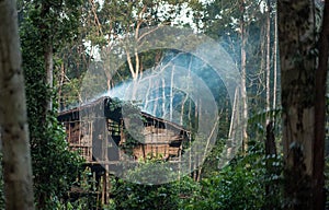 Traditional Korowai house perched in a tree
