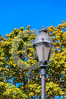 Traditional Lamp Post by Tree
