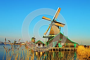 Traditional Landscape in Holland