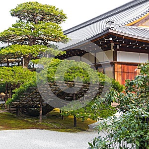 Traditional landscaped japanese garden detail in Japan