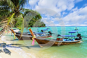 Traditional longtail boats parking, Andaman Sea, Phi Phi island, Thailand