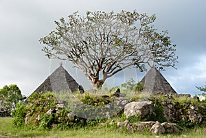 Traditional manggarai village, indonesia photo