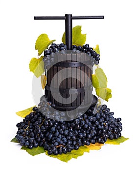 Traditional manual grape pressing utensil with blue grapes