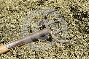 Traditional manure fork on a bale of cattle feed