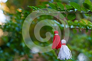 Traditional Martisor on green tree branch - symbol of 1 March, Martenitsa, Baba Marta, beginning of spring and seasons changing in photo