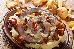 Traditional mashed potatoes with fried chanterelles, onions and parsley closeup on a plate. horizontal