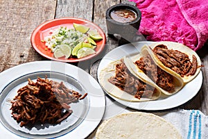 Mexican beef barbacoa tacos photo