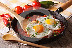 Traditional Mexican breakfast fried egg with salsa closeup. Horizontal