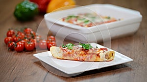 Traditional mexican enchiladas with chicken meat, spicy tomato sauce and cheese on a plate. Mexican cuisine photo