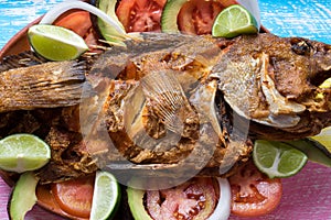 Fried fish on colorful background