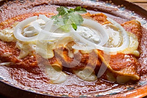 Tradtional mexican red enchiladas