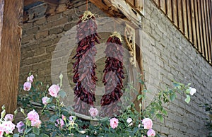 Traditional Mexican Ristras and Roses photo