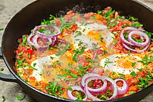 Traditional middle Eastern dish Shakshuka in a pan