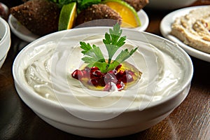 Traditional Middle Eastern food. Lebanese food. Arabian labneh yogurt with Pomegranate seeds