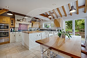 Traditional modern kitchen with vaulted ceiling