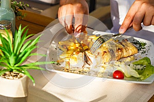 Traditional Montenegrin Meat Negush Steak on white plate in a restaurant