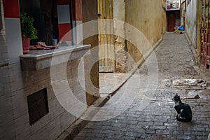 Traditional Moroccan market souk in Fez, Morocco