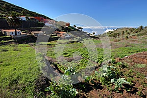 The traditional mountain village El Cercado, La Gomera, Canary Islands, Spain photo