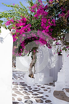 Traditional narrow street in Mykonos