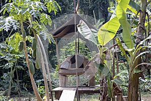 Traditional native american outdoor cooking oven in the rainforest of Amazon River basin in South America