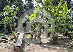 Traditional native american outdoor cooking oven in the rainforest of Amazon River basin in South America