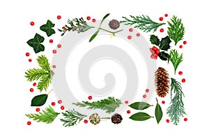 Traditional Natural Winter Flora Background Border